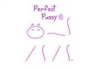 PERFECT PUSSY