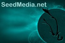 SEEDMEDIA.NET