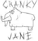CRANKY JANE