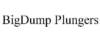 BIGDUMP PLUNGERS