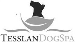 TESSLANDOGSPA