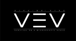 VIVA · EX · VIVO VEV SURVIVAL ON A MICROSCOPIC SCALE