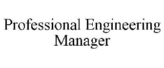PROFESSIONAL ENGINEERING MANAGER