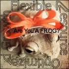 ARE YOU A FROG? FLEXIBLE RESOURCE OPTIMIZED GROWTH