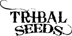 TRIBAL SEEDS