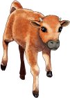 Image Trademark