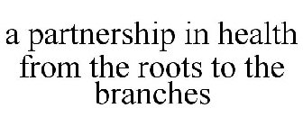 A PARTNERSHIP IN HEALTH FROM THE ROOTS TO THE BRANCHES