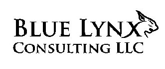 BLUE LYNX CONSULTING LLC