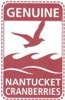 GENUINE NANTUCKET CRANBERRIES