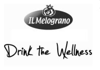 IL MELOGRANO DRINK THE WELLNESS