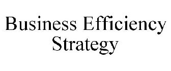 BUSINESS EFFICIENCY STRATEGY
