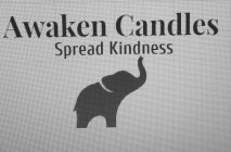 AWAKEN CANDLES SPREAD KINDNESS