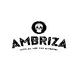 AMBRIZA -SOCIAL MEXICAN KITCHEN-