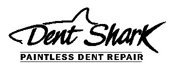 DENT SHARK PAINTLESS DENT REPAIR