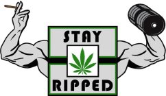 STAY RIPPED