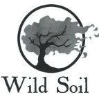 WILD SOIL