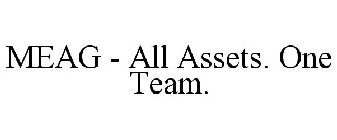 MEAG - ALL ASSETS. ONE TEAM.