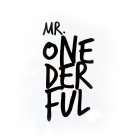 MR. ONE DER FUL