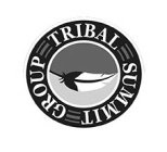 TRIBAL SUMMIT GROUP