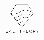 SALT THEORY