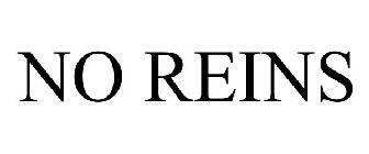 NO REINS