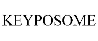 KEYPOSOME