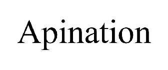 APINATION