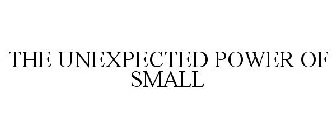 THE UNEXPECTED POWER OF SMALL