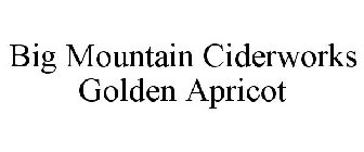 BIG MOUNTAIN CIDERWORKS GOLDEN APRICOT