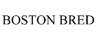 BOSTON BRED