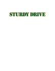 STURDY DRIVE