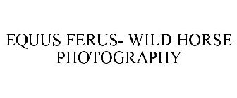 EQUUS FERUS- WILD HORSE PHOTOGRAPHY