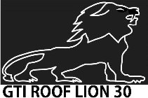 GTI ROOF LION 30