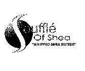 SOUFFLÉ OF SHEA 