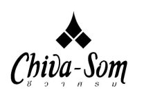 CHIVA-SOM