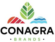 CONAGRA · BRANDS ·