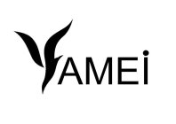 VAMEI