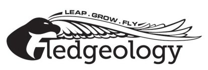 FLEDGEOLOGY LEAP. GROW. FLY