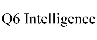 Q6 INTELLIGENCE