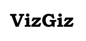 VIZGIZ