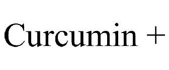 CURCUMIN +