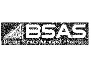 BSAS BERING STRAITS AEROSPACE SERVICES LLC