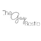 THE GAY BESTIE