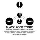 BLACK ROOT TONIC SACRED BARK SARSAPARILLA BURDOCK YELLOWDOCK DENDELION ELDEBERRY GUACO CUACHLALATE COCOLMECA QUASSIA VERANA SHAVEGRASS PIEDRA BITTER MELON URTICA EPAZOTE SEAMOSS