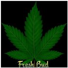 FRESH BUD