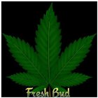 FRESH BUD