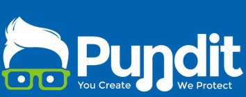 PUNDIT YOU CREATE, WE PROTECT
