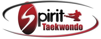 SPIRIT TAEKWONDO