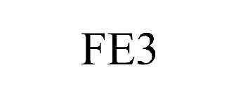 FE3