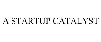 A STARTUP CATALYST